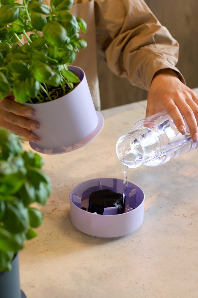 Crushgrind_billund_self-watering_water.jpg Billund / Self-watering pot / Blueberry