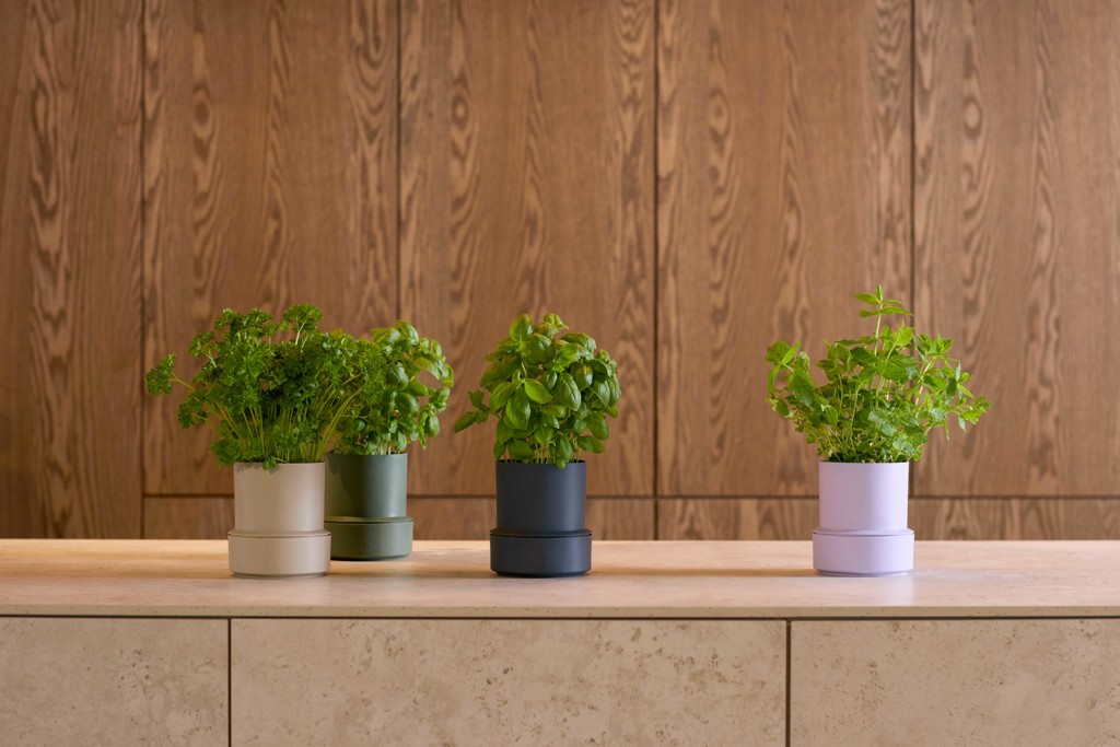 Crushgrind_billund_self-watering.jpg Billund / Self-watering pot / Blueberry