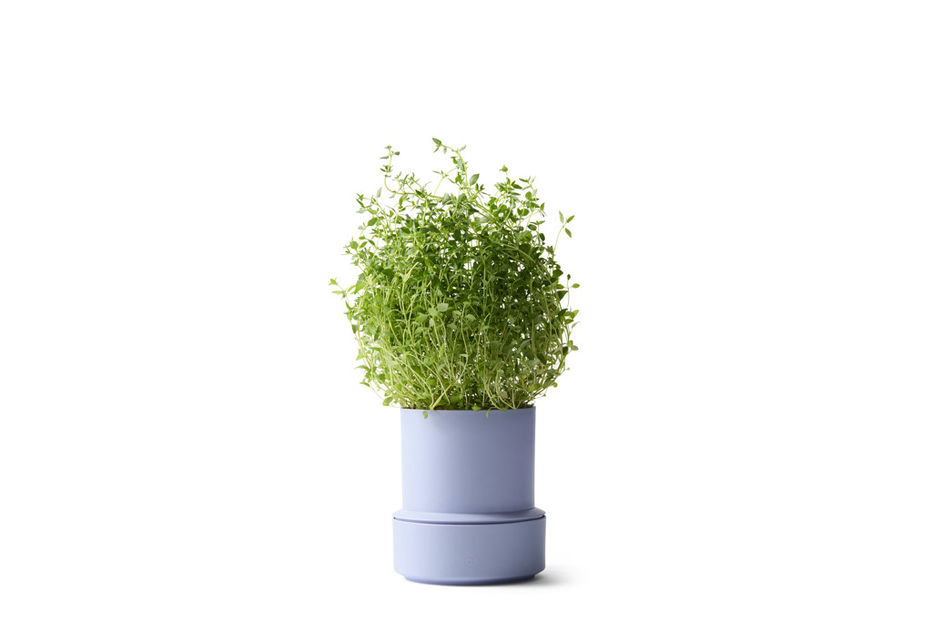 Billund_pot_lavender_herb_1.jpg Billund / Self-watering pot / Lavender